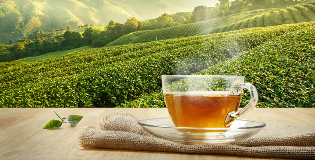 Twinings