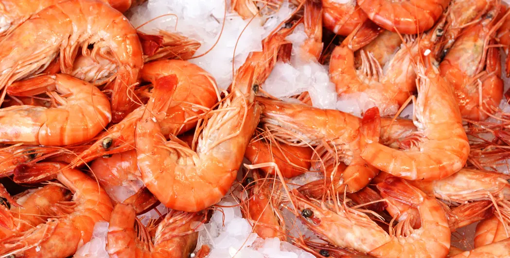 Nordic Seafood